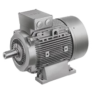 Electric Motors 1LE1